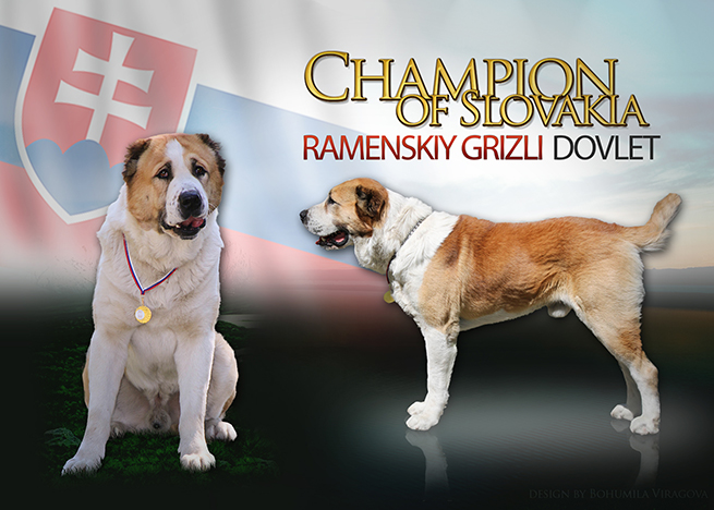 grafika dovlet champion web