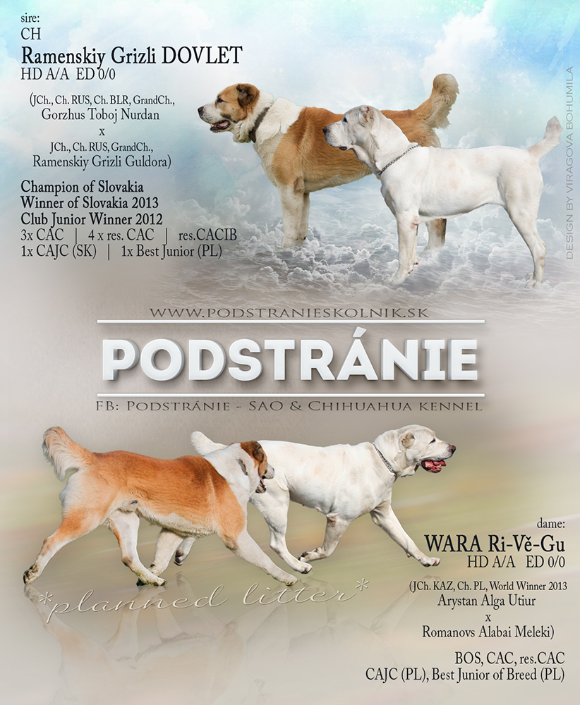 grafiky podstranie puppies1