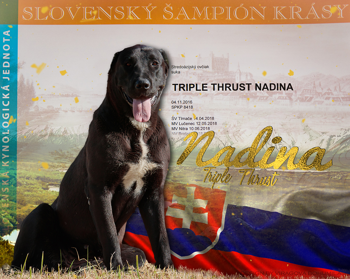 nadina sk champ