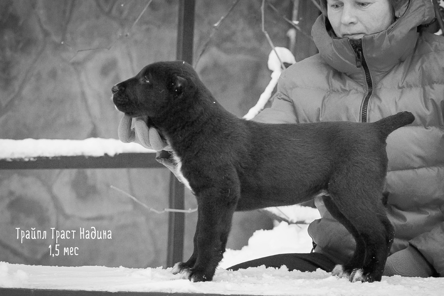 nadina postoj 1-5m