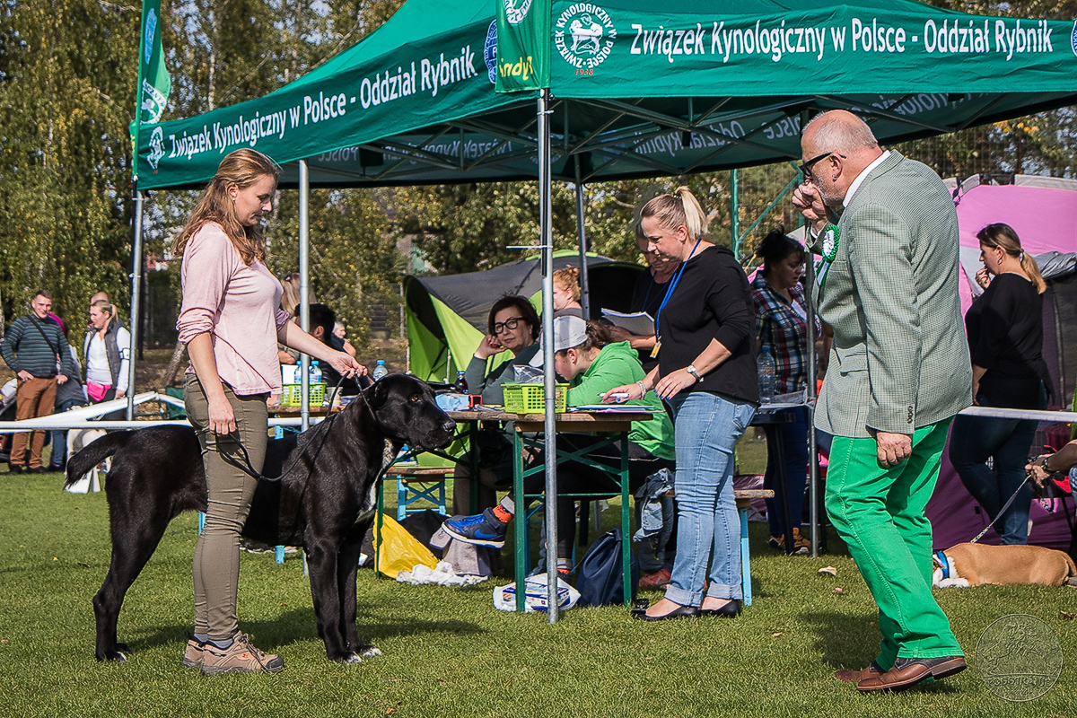 20181007-IMG 2232 kopie