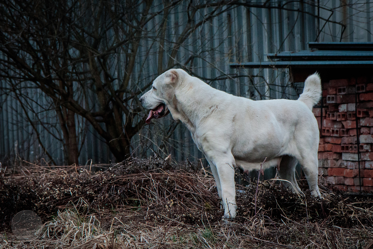 20190318-IMG 8531 kopie