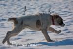 img_3321.jpg